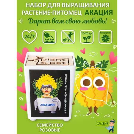 Набор для выращивания Blabar