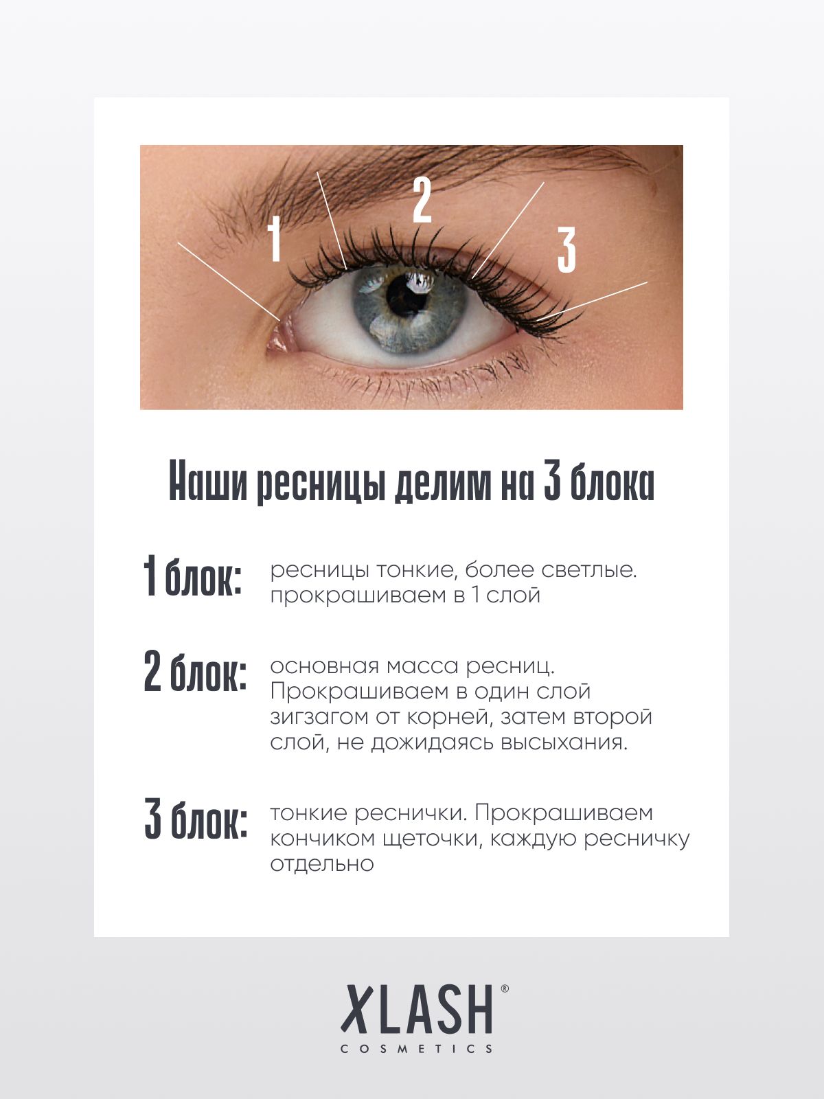 Тушь для ресниц XLASH Cosmetics Тушь - фото 11