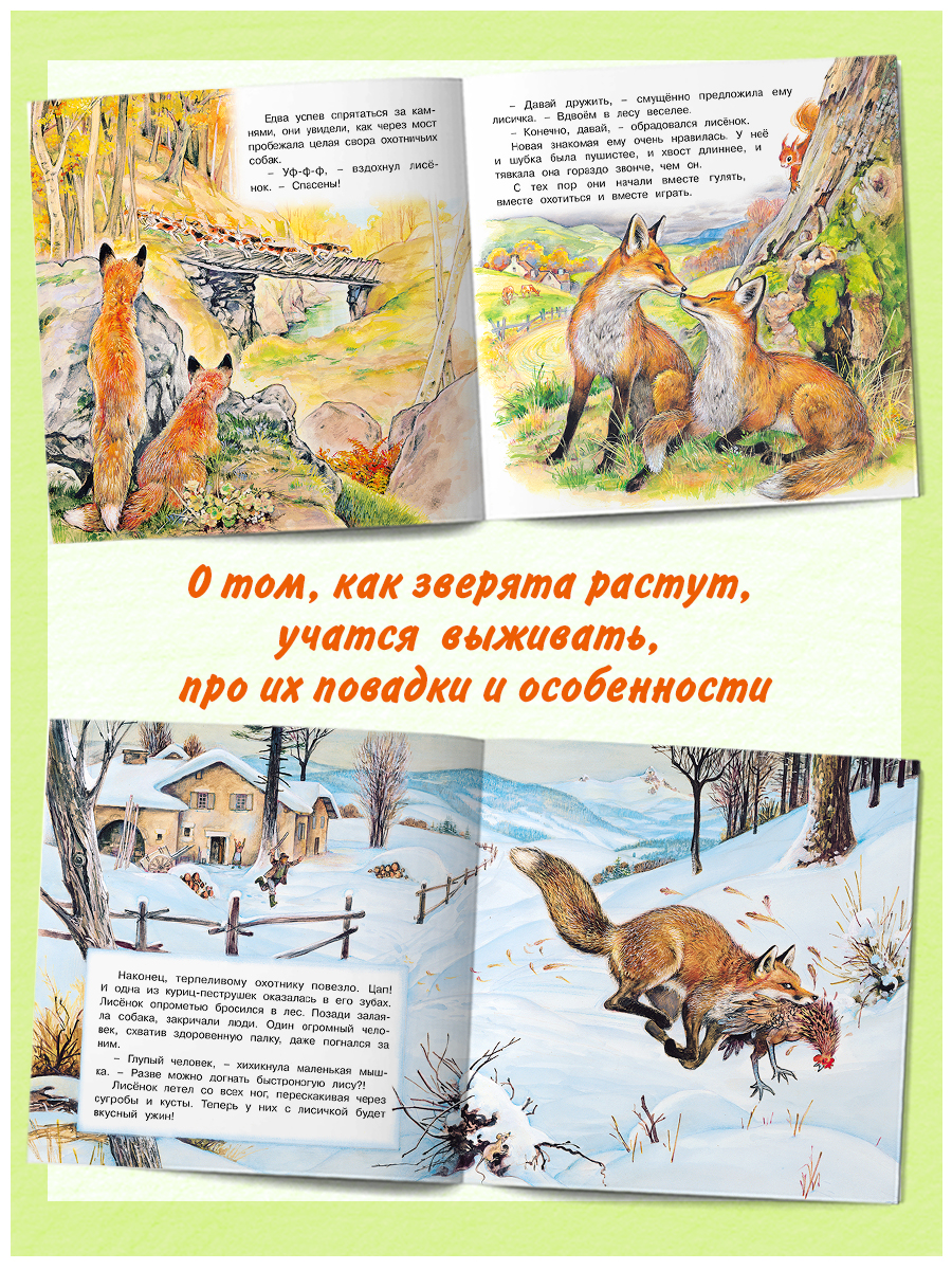 Комплект книг Фламинго Сказки для детей Рассказы о животных Приключения Лисенка Козленка Олененка Щенка - фото 2