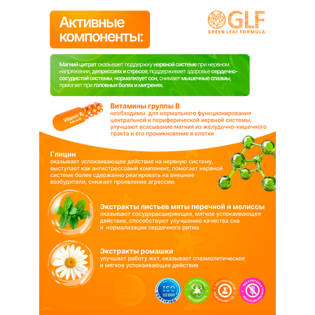 Магний В6 детский Green Leaf Formula мармеладные пастилки со вкусом манго