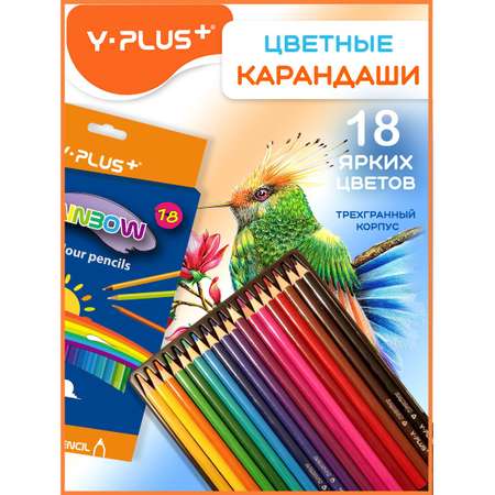 Карандаши цветные Y-plus 19 шт.