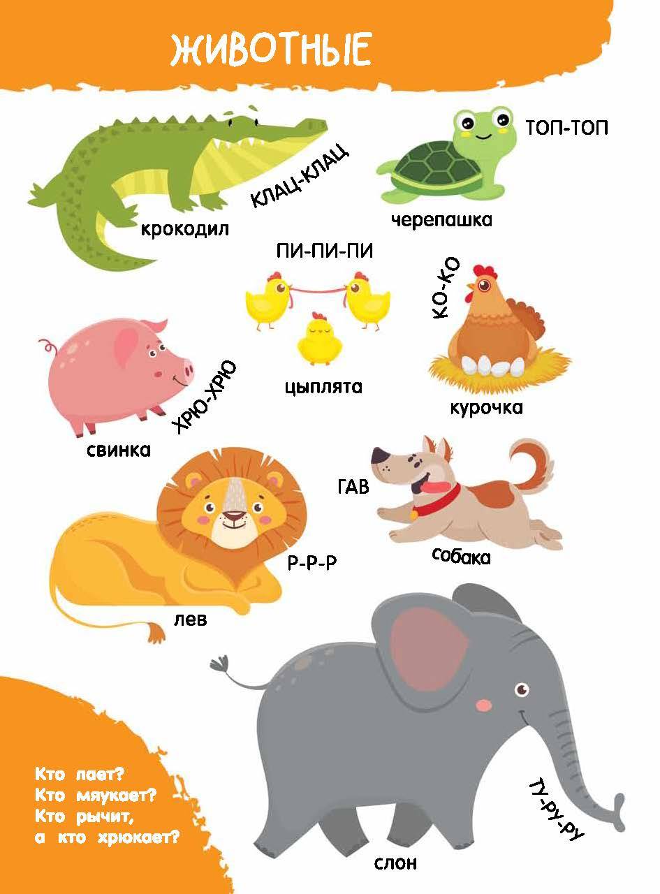 Книга АСТ Мои первые слова в картинках - фото 7