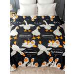 Плед PAVLine Аэро Софт Гусь Обнимусь 200 x 220 см велсофт