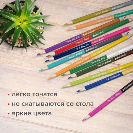 Карандаши цветные Brauberg 24 шт.