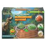 Набор для опытов Huada Toys Выращивание растений