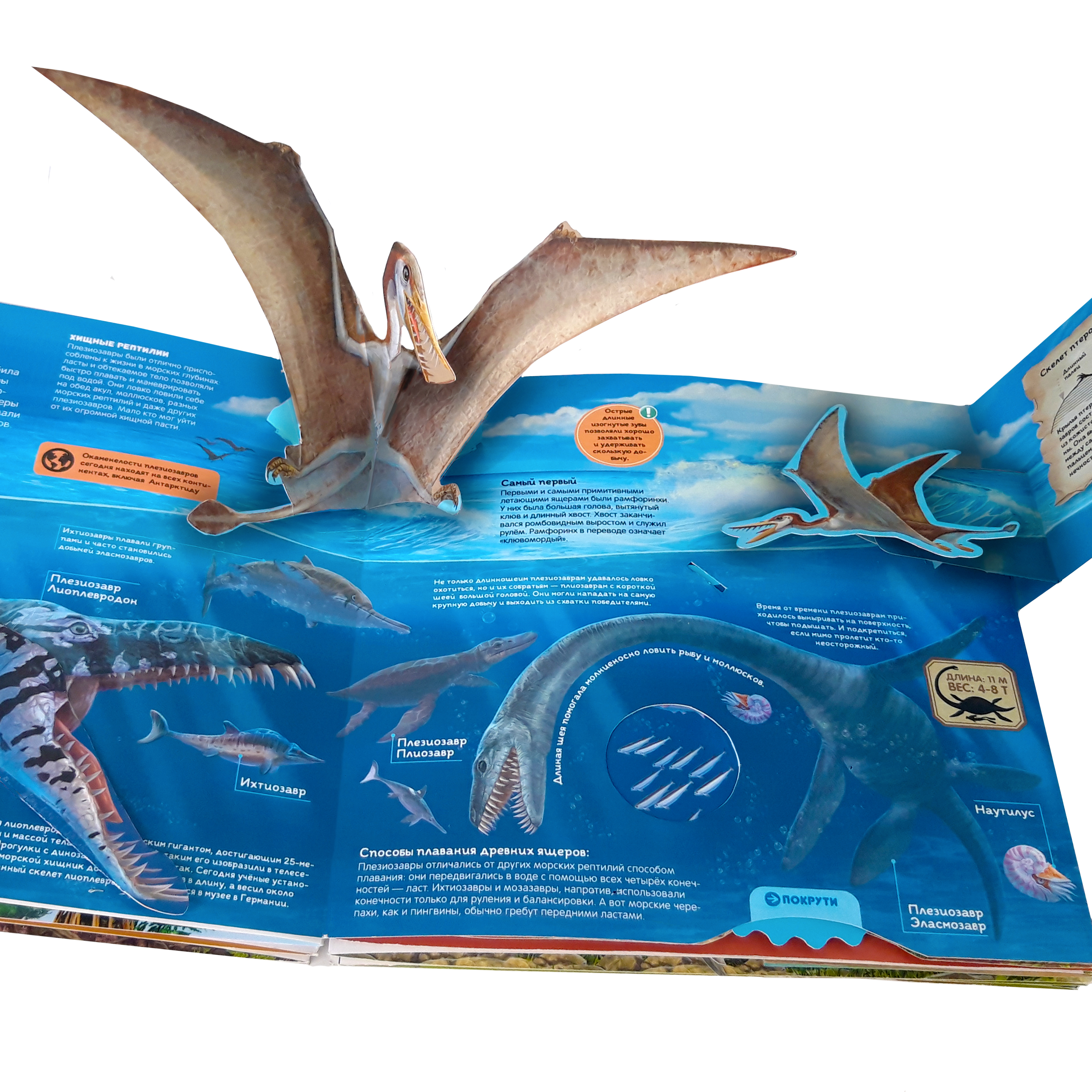Интерактивная энциклопедия Malamalama Динозавры и Другие Доисторические Животные - фото 12