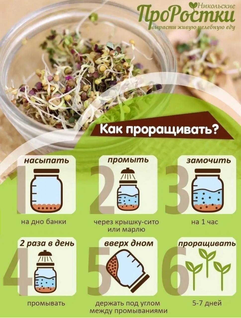 Семена для микрозелени MegaMedia горчица - фото 6