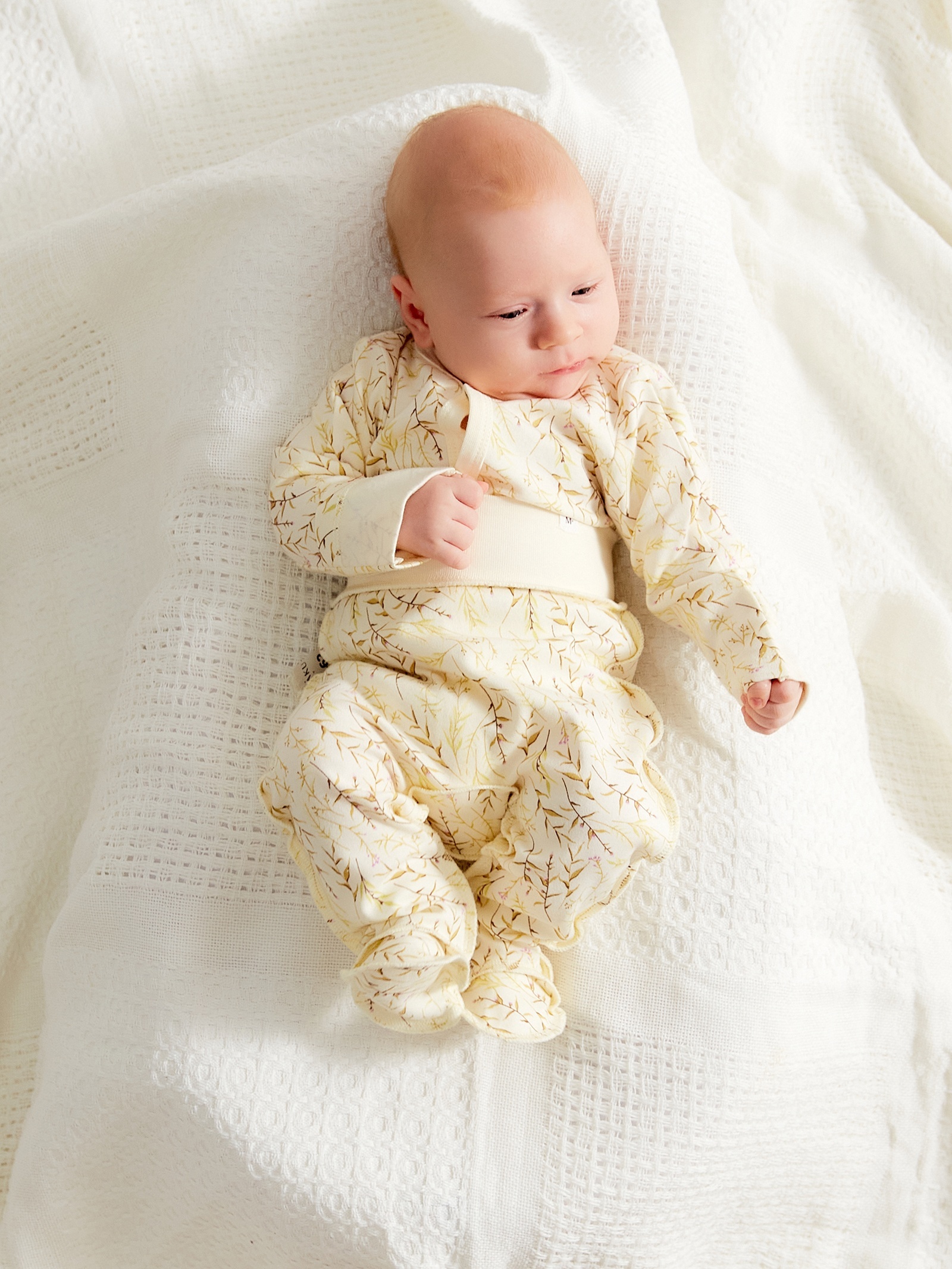 Боди Minaku 10516682 - фото 2