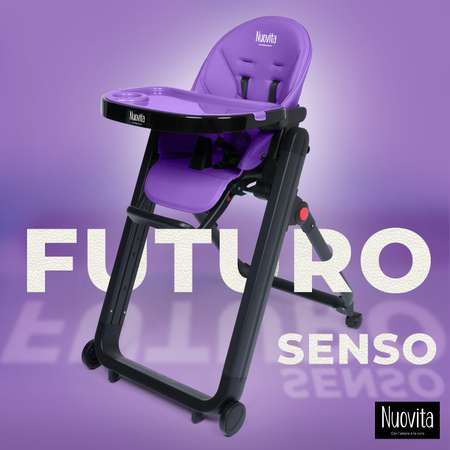 Стульчик для кормления Nuovita Futuro Senso классический