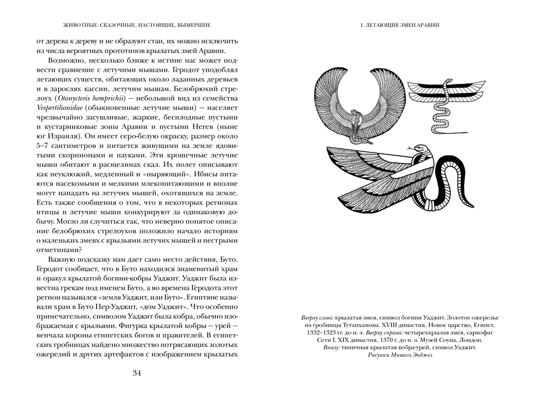 Книга КОЛИБРИ Занимательная Античность. Комплект из 2-х книг и набора открыток - фото 17