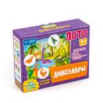 Настольная игра ГЕОДОМ Лото