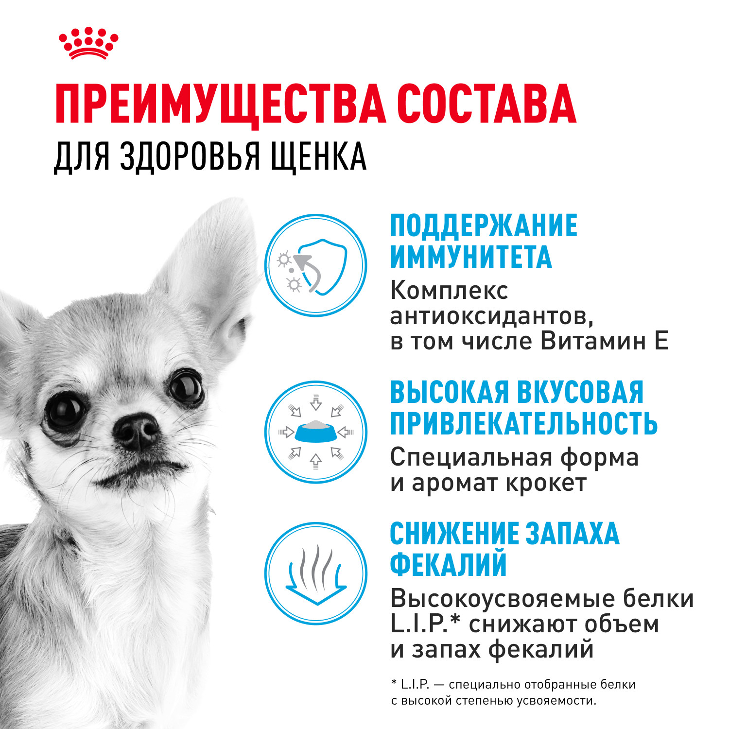 Корм для щенков ROYAL CANIN породы чихуахуа 500г - фото 3
