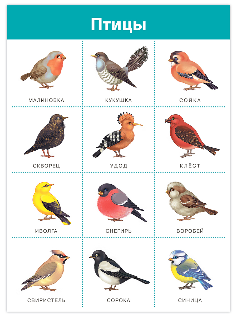 Настольная игра Дрофа-Медиа - фото 10