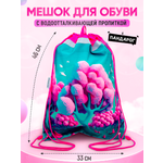 Мешок для обуви ПАНДАРОГ