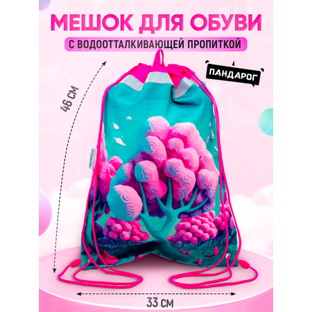 Мешок для обуви ПАНДАРОГ