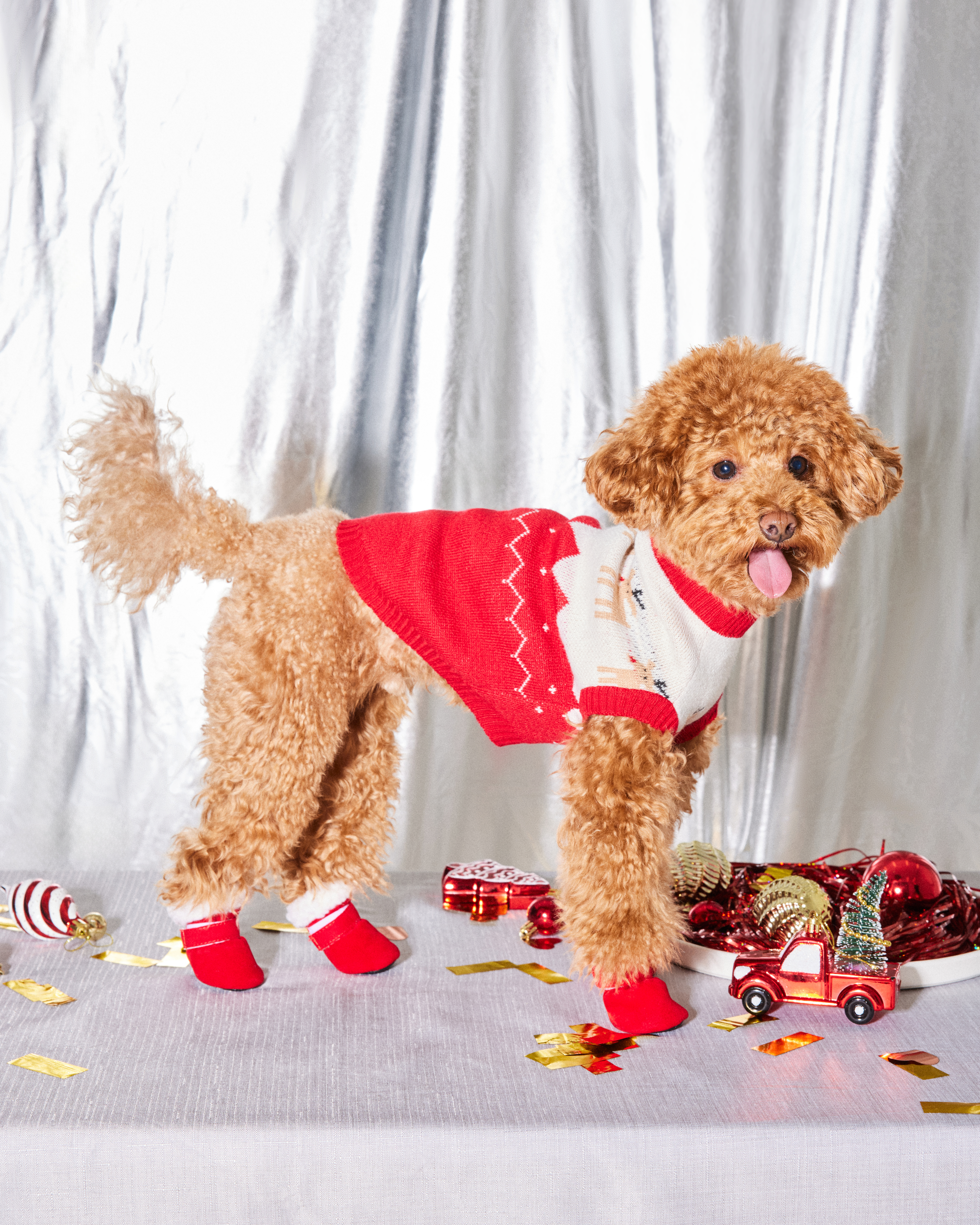 Ботинки для собак Зоозавр 4 шт - фото 8