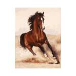 Картина по номерам Белоснежка Галоп