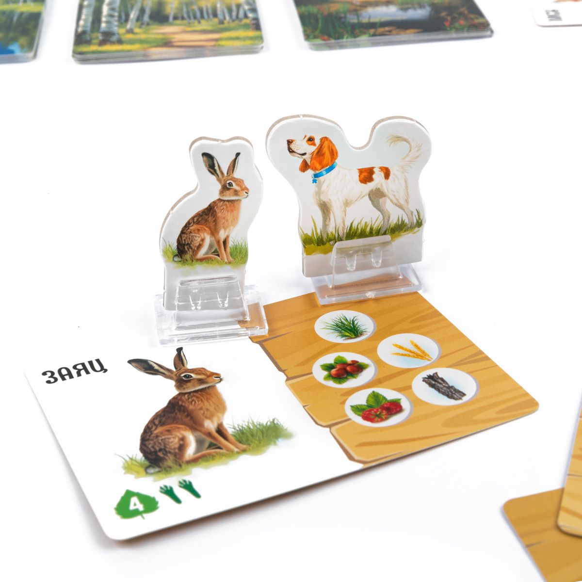 Настольная игра Эврикус Лесные истории - фото 8