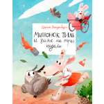 Книга Волчок Мышонок Тиль и гипс на три недели