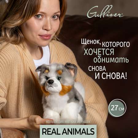 Мягкая игрушка Gulliver собачка Австралийская собака 27 см 27 см