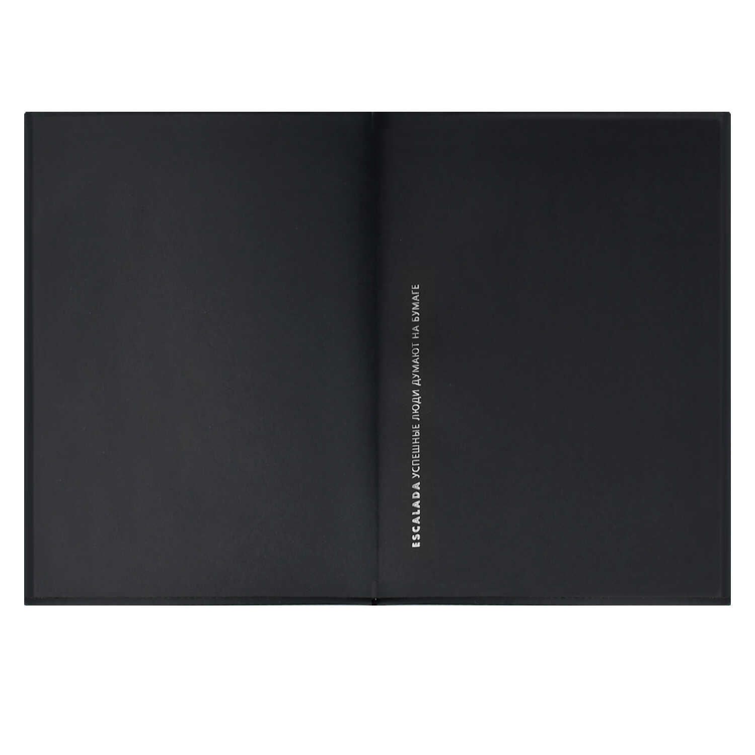 Ежедневник Феникс + ESCALADA 160 лист. - фото 14