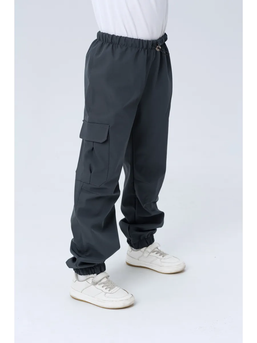 Брюки Lemonwear d5763 - фото 1