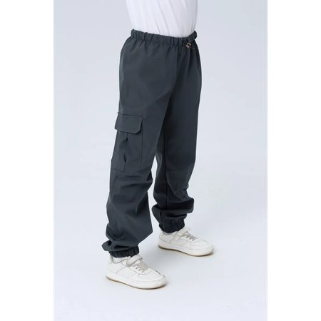 Брюки Lemonwear