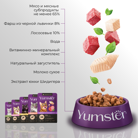 Корм влажный Yumster Влажный корм для котят Мясные кусочки с рыбой в соусе