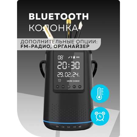 Колонка многофункциональная More Choice BS25 black