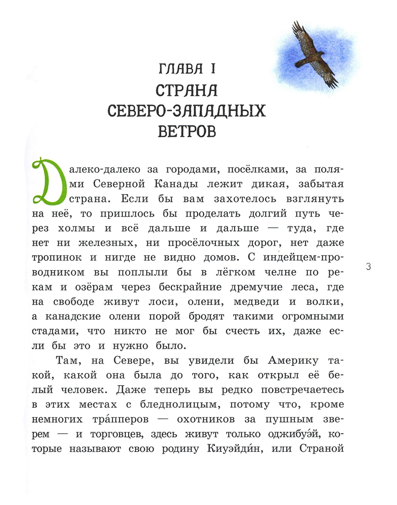 Книга Лабиринт Саджо и ее бобры - фото 4