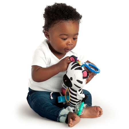 Игрушка Baby Einstein подвеска