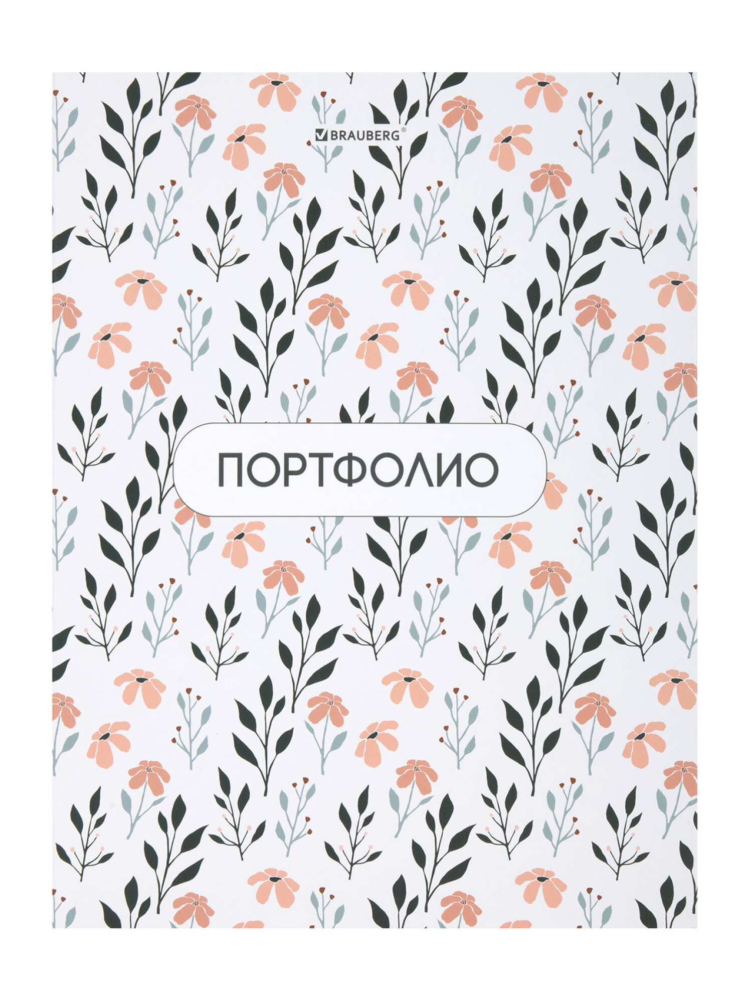 Портфолио школьника Brauberg папка А4 на кольцах 20 файлов для девочки и мальчика - фото 9