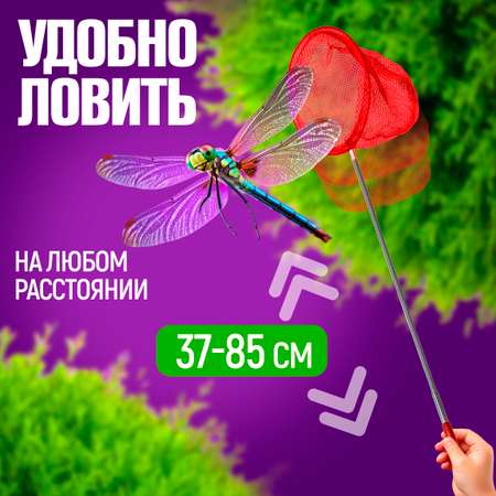 Сачок для бабочек телескопический 1TOY 37-85 см 1TOY детский для насекомых птиц рыбок 2в1 большой и маленький