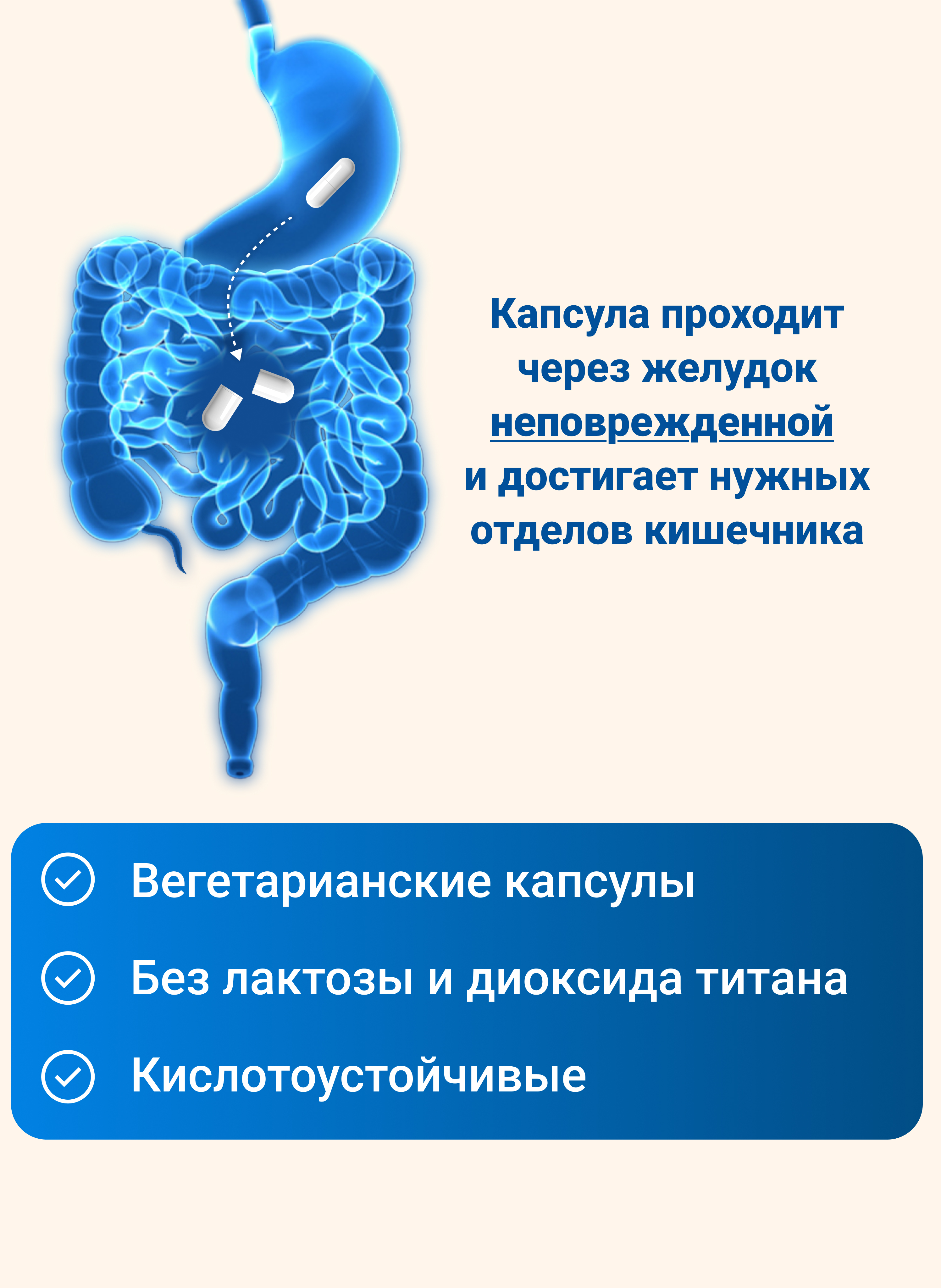 Комплекс пробиотиков Премиум Daily Guard капсулы №10 - фото 7