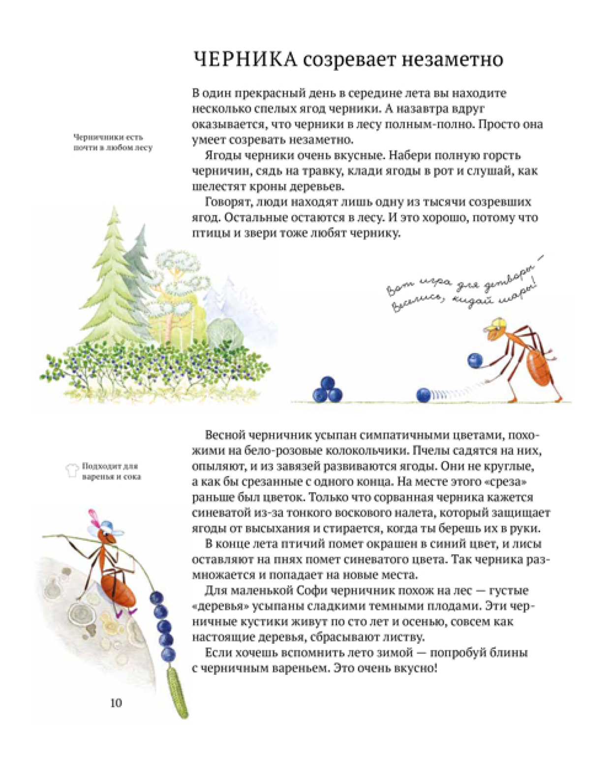 Книга ALBUS CORVUS Софи в мире ягод - фото 5