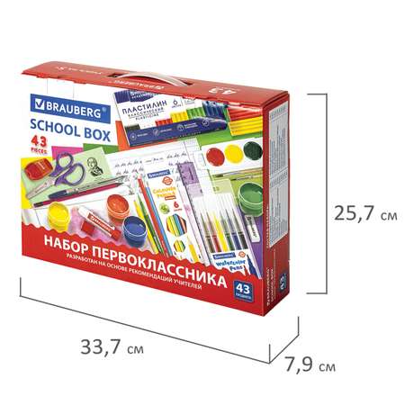 Набор школьника Brauberg 43 предм.