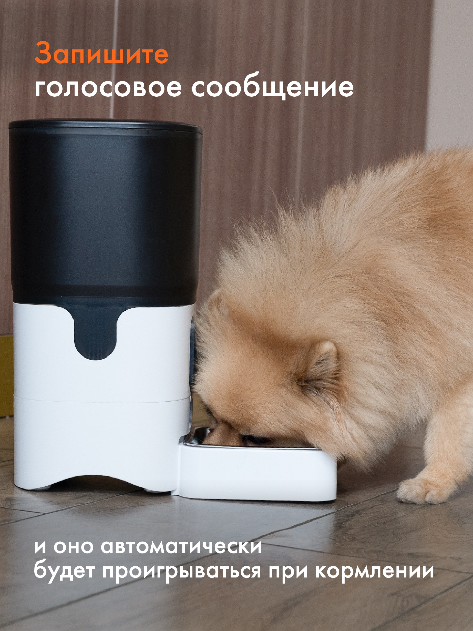 Автоматическая кормушка Pet Flat WI-FI с камерой - фото 8