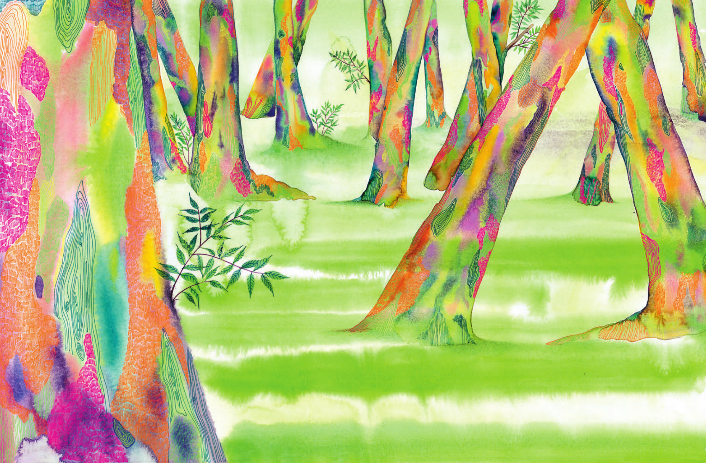 Книга АСТ Остров мечты. Секрет стражей леса - фото 15