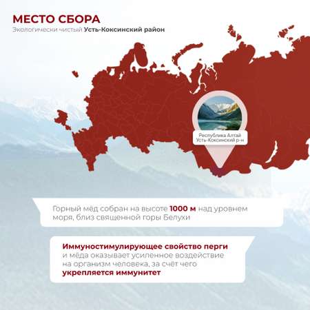 Перга Предгорья Белухи с горным натуральным медом разнотравье 140 г