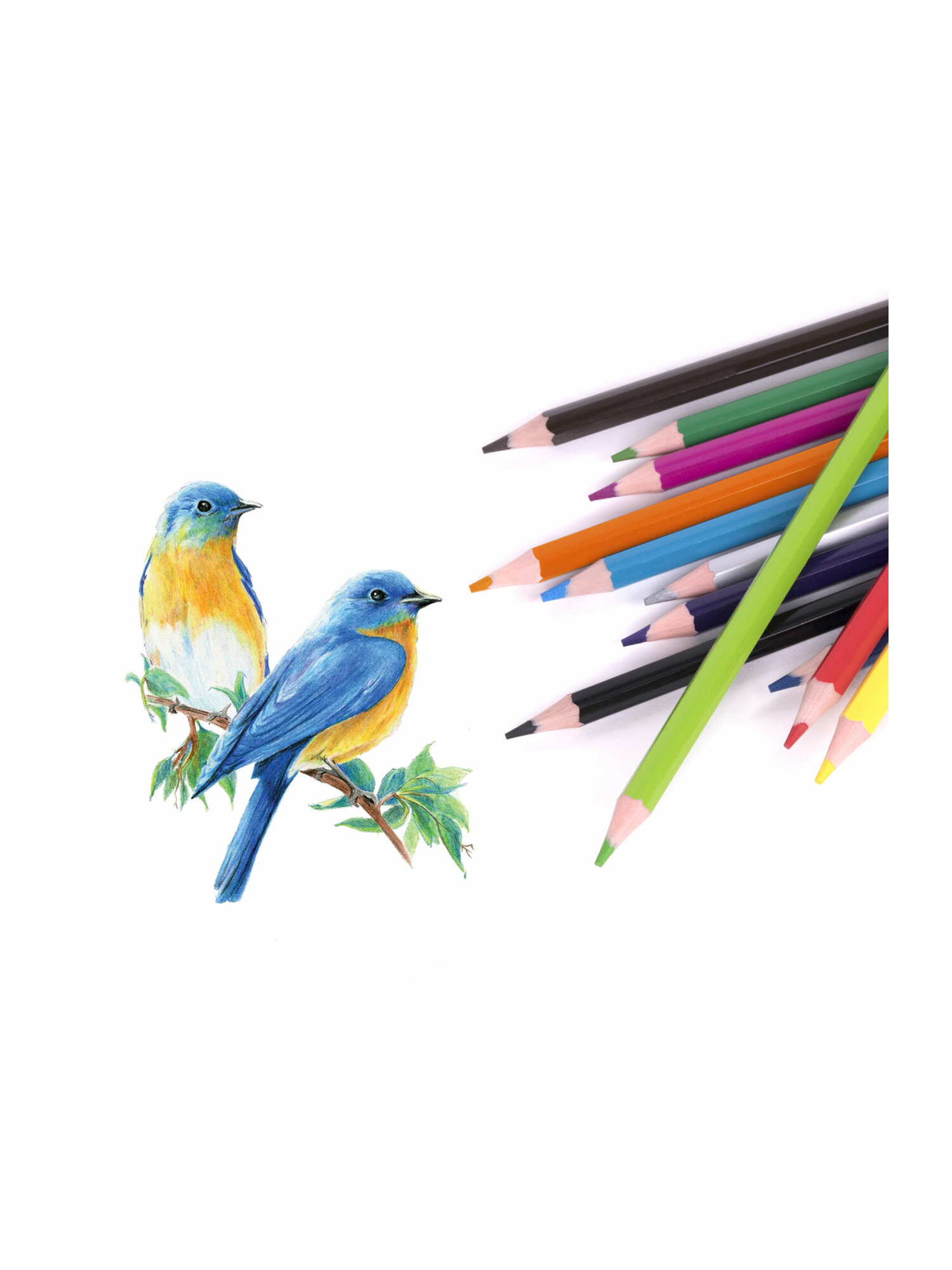 Карандаши цветные Юнландия 12 шт. - фото 12