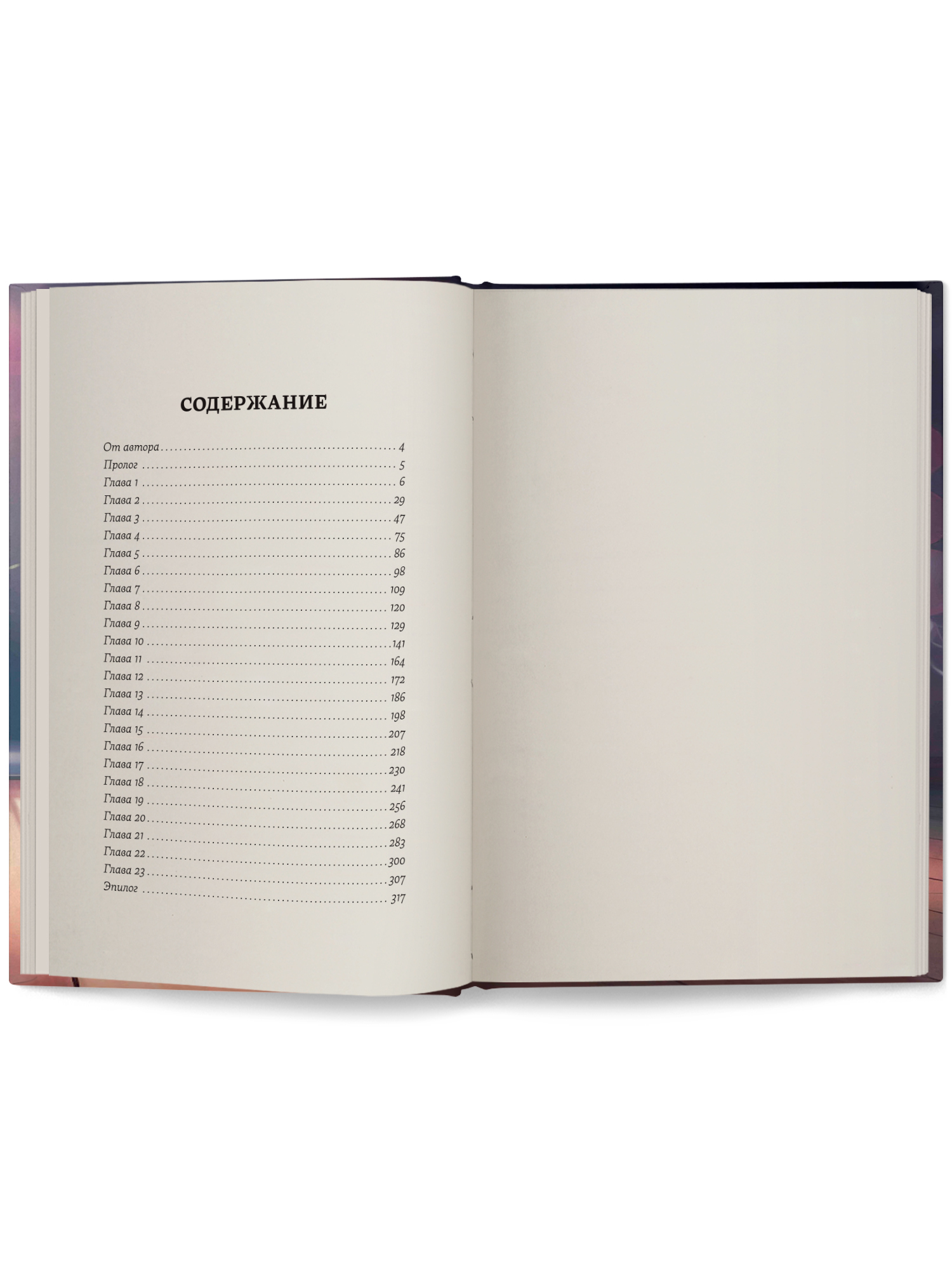 Пока играет музыка ОКно Книга - фото 2