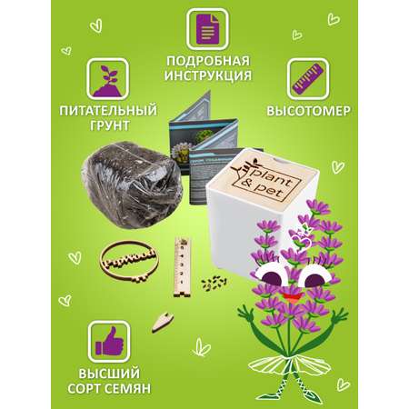 Набор для выращивания Blabar