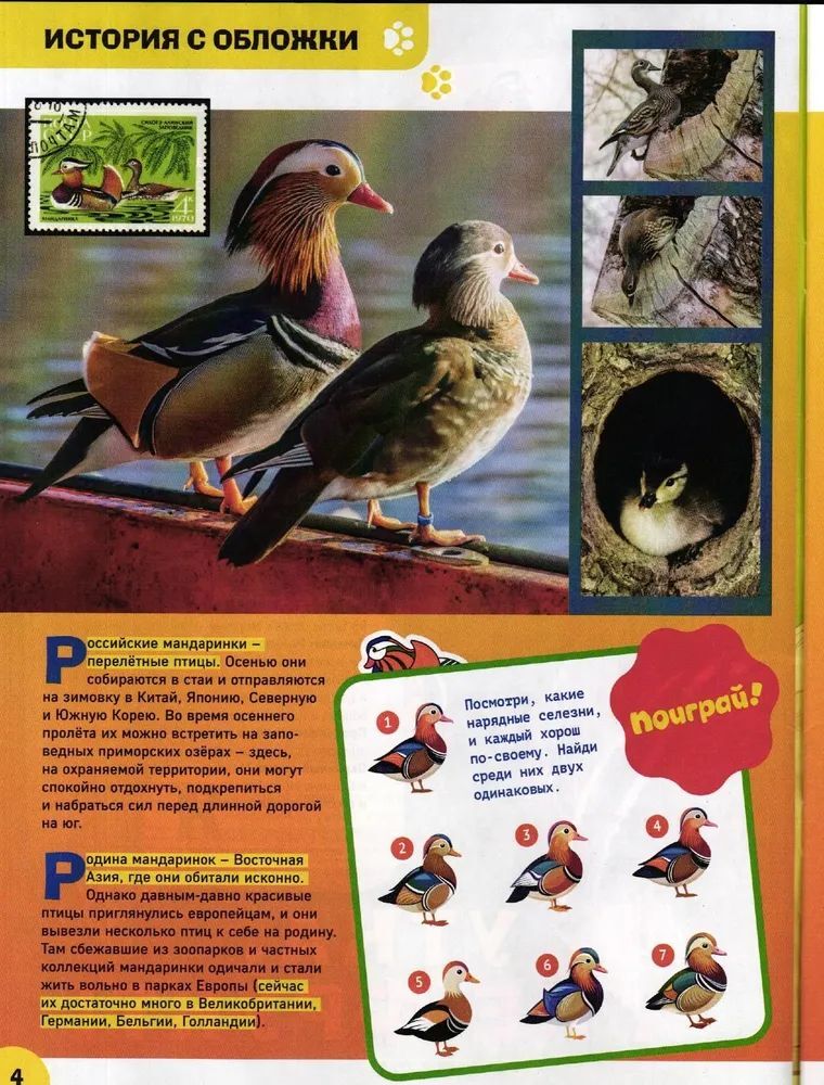 Набор из 2-х детских журналов ИД Лев №5 и №6 2025г - фото 4