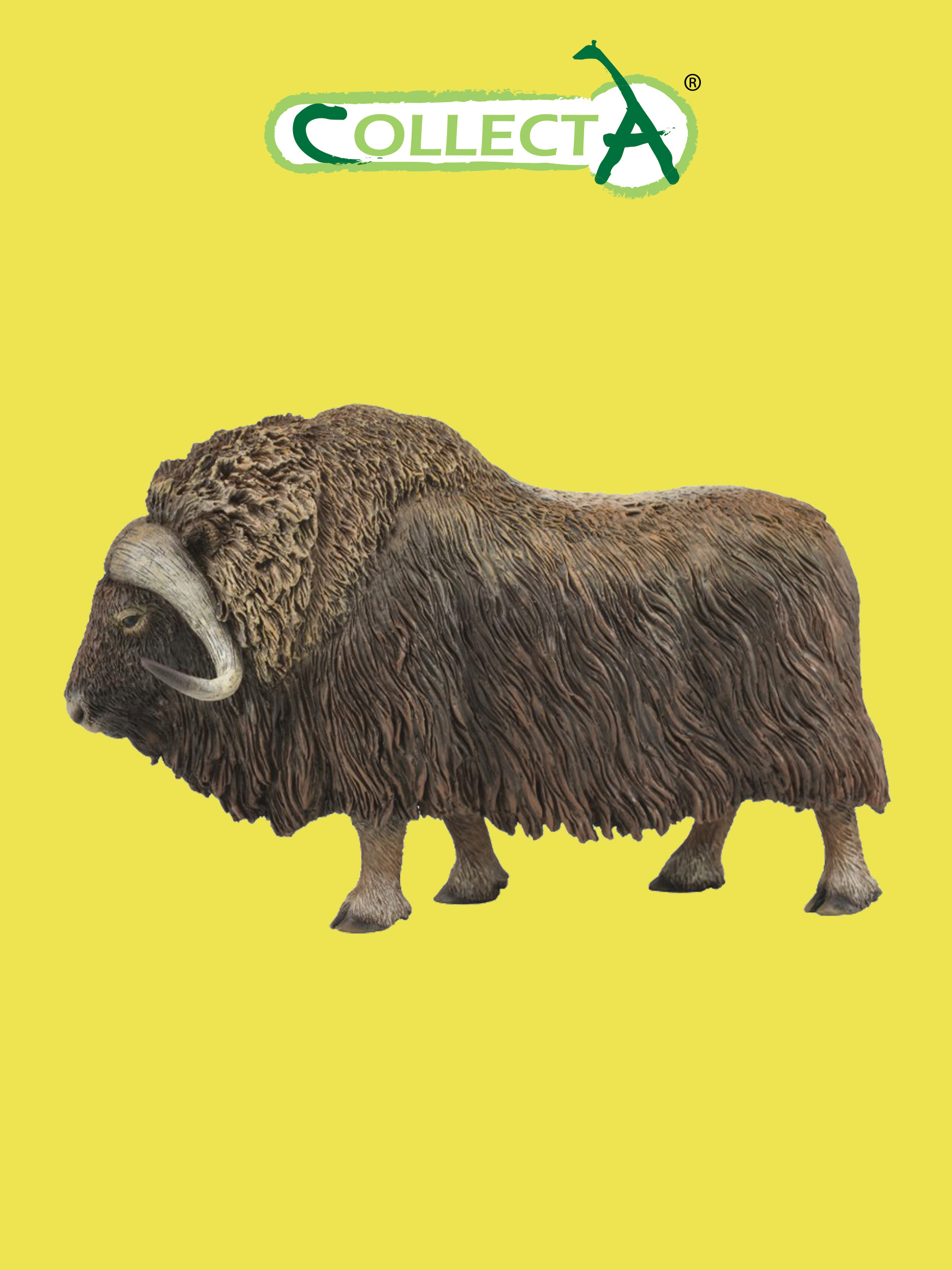 Фигурка Collecta Бык Мускусный - фото 1