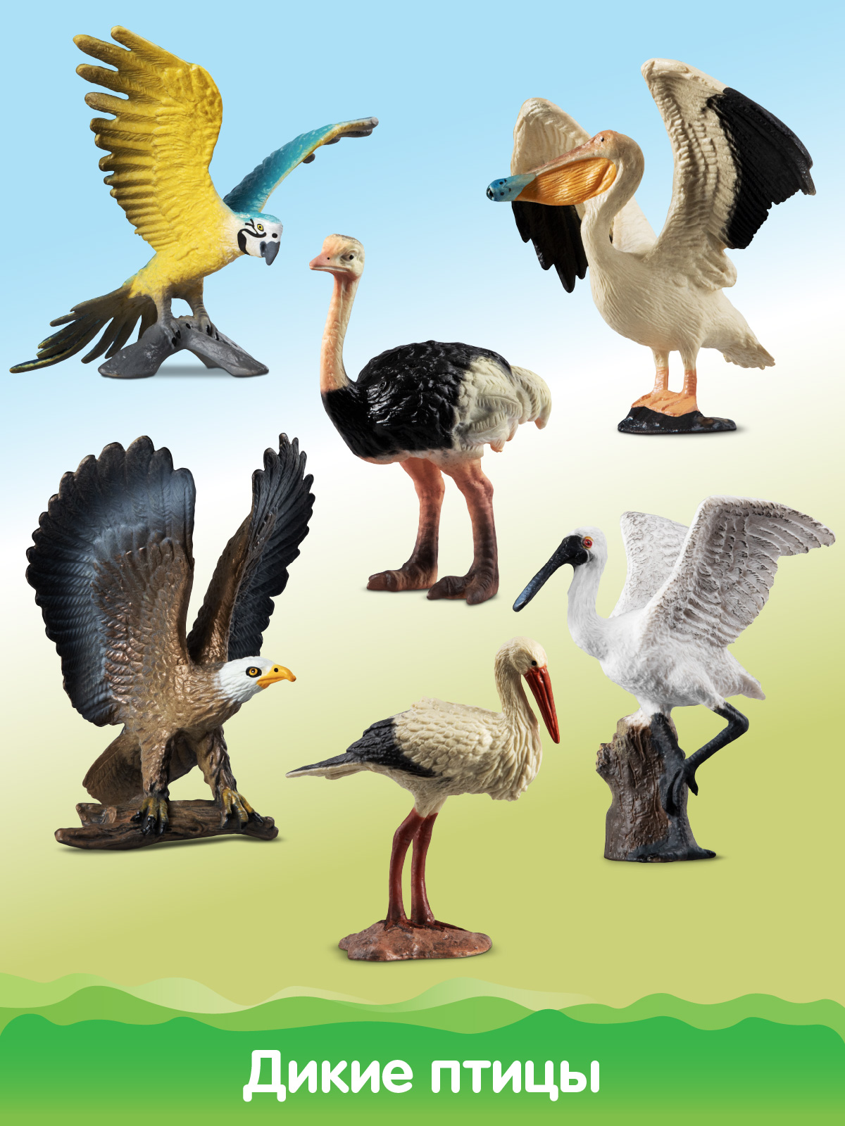 Игровой набор DARWIN Животные Птицы - фото 5