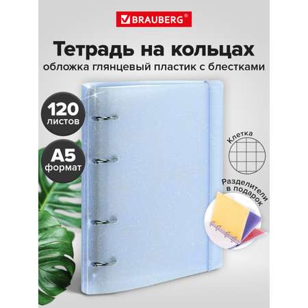Тетрадь со сменным блоком Brauberg клетка 120 лист.