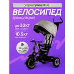 Трехколесный велосипед Velobibi 10 дюймов