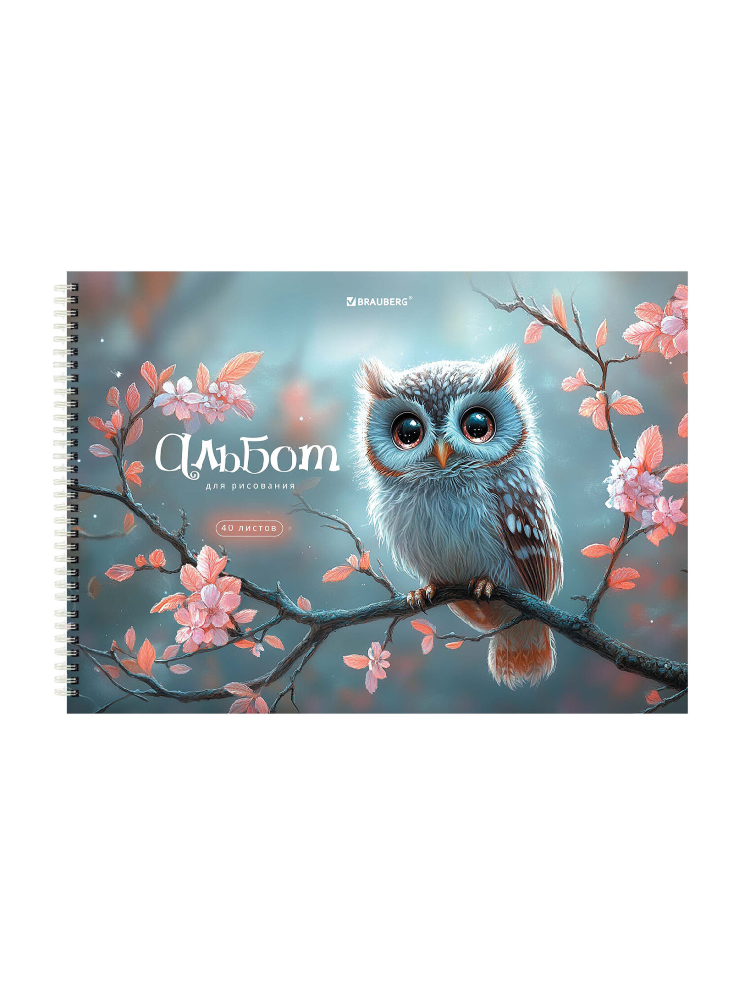 Альбом Brauberg А4 40 лист. 2 шт. - фото 4