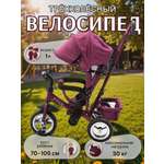 Трехколесный велосипед ZigZag 12 дюймов