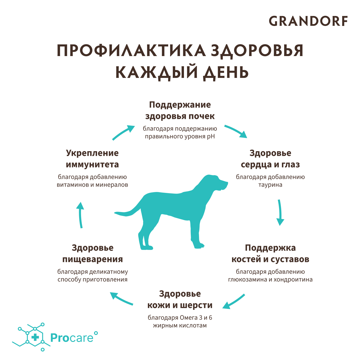 Корм для собак GRANDORF 10кг для крупных пород ягненок с индейкой - фото 7